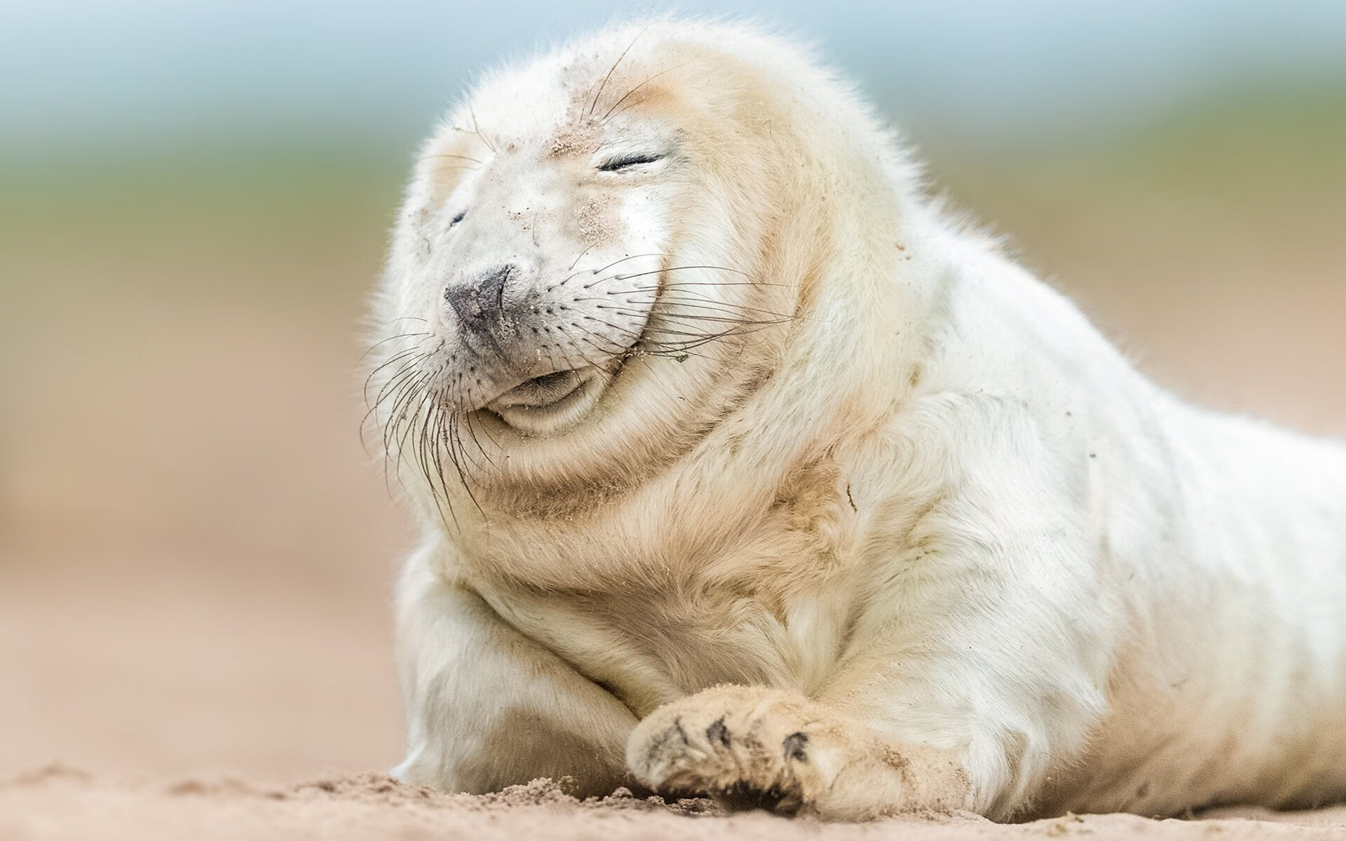 开云中国大陆-德国施瓦茨成焦点 高强度输出备受肯定，施瓦茨公司