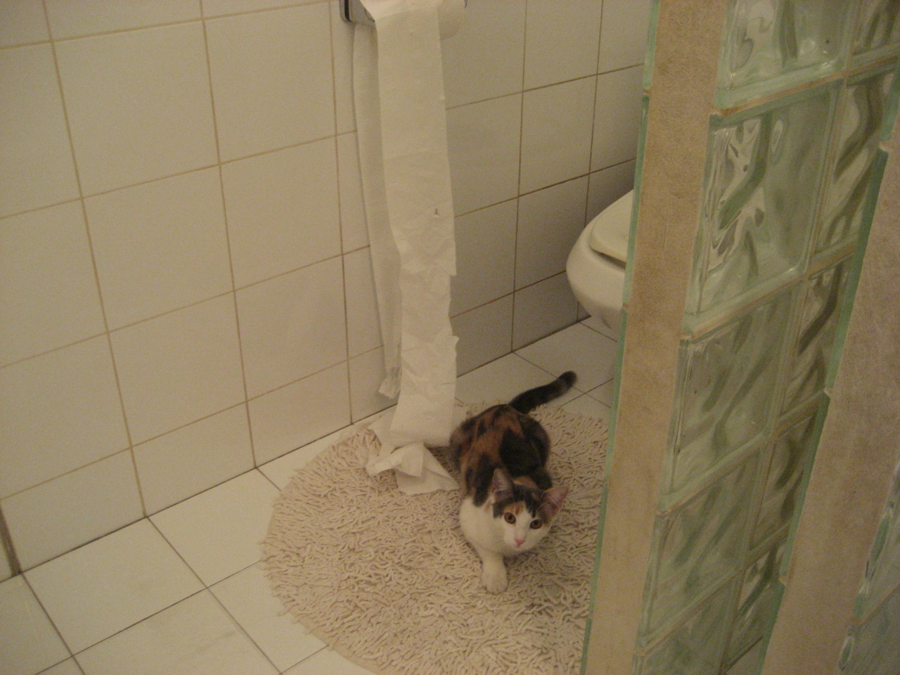 Kaiyun(中国)开云-德甲比赛进入白热化：坚韧不拔的精神风貌，德甲热身赛