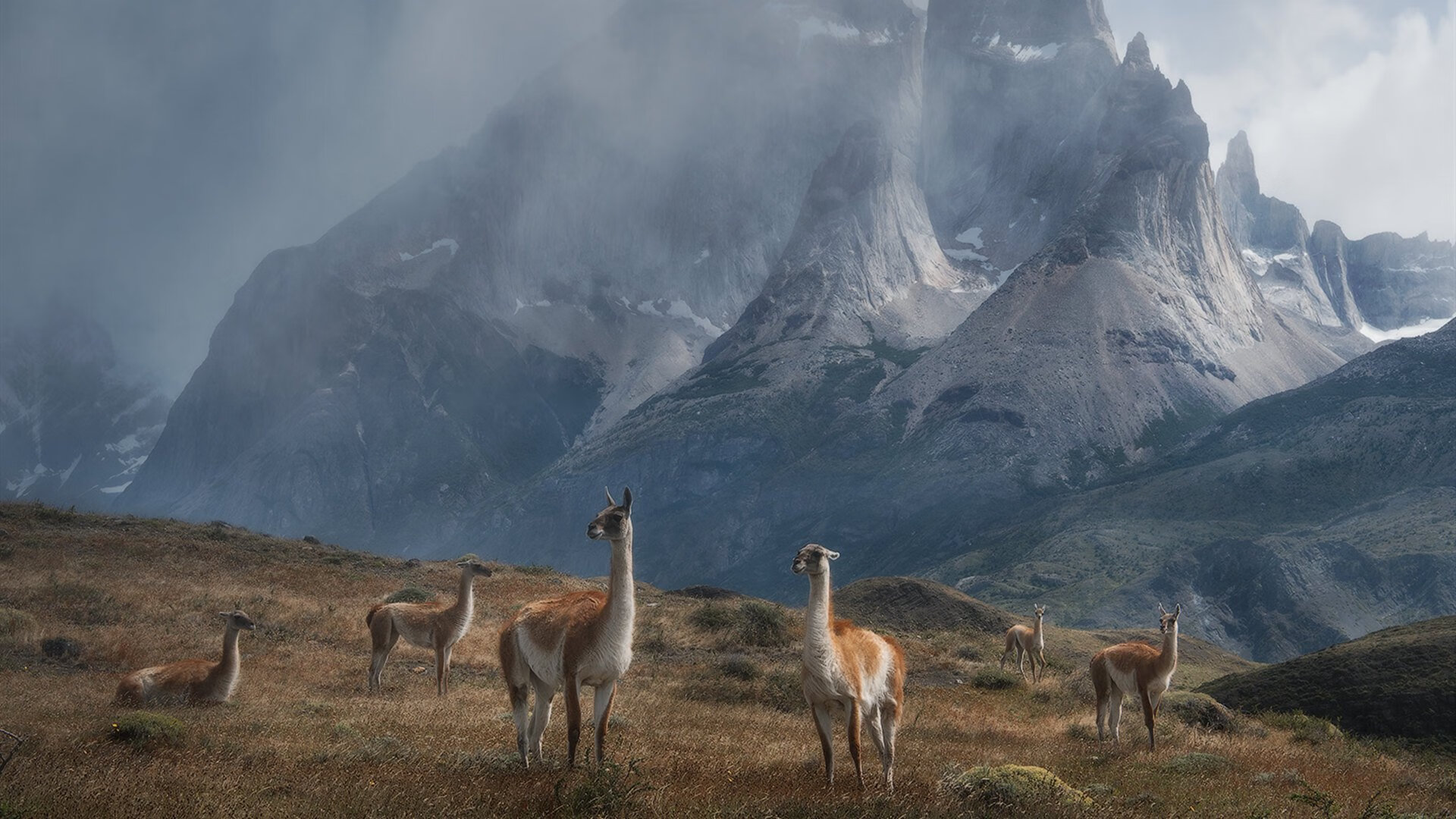 欧洲杯攻防博弈:策略变换中争锋相对!,欧洲杯2021攻略