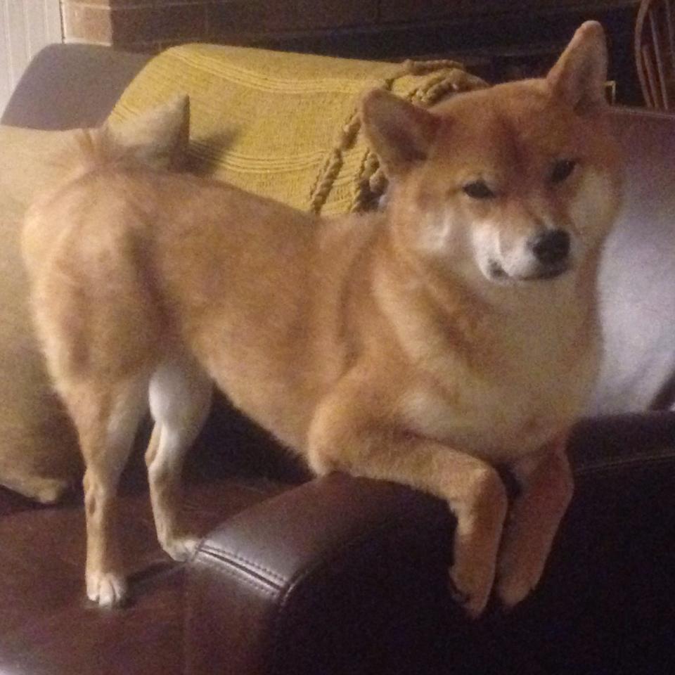 王宗源展现强大心理素质，王宗源素材