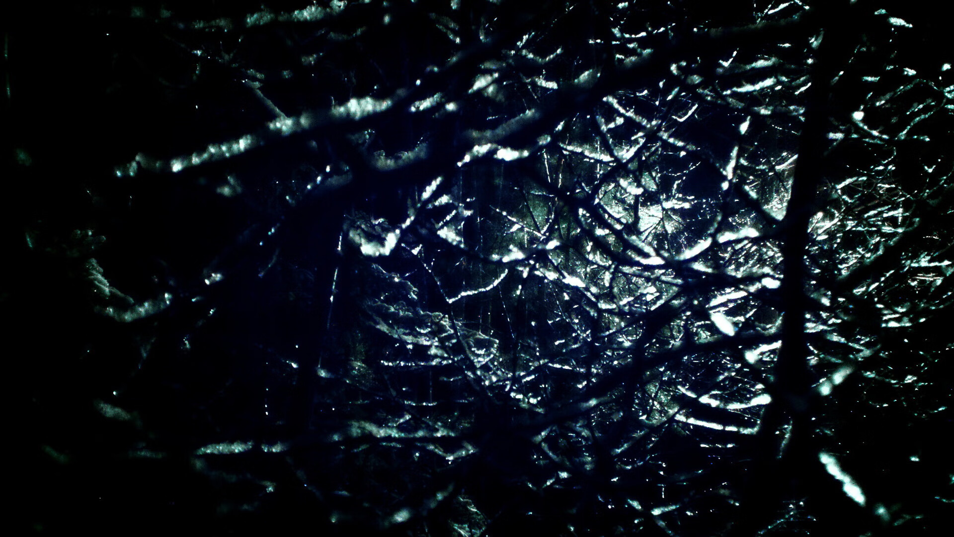 开云kaiyun-美国小将温斯坦决赛表现不俗，nba温斯顿