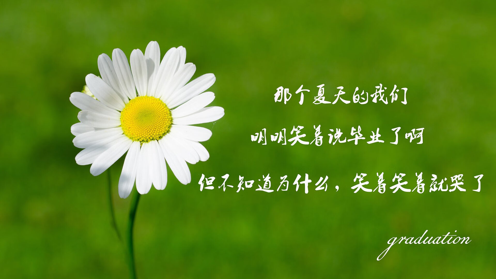 圣保罗后卫卢卡斯·贝拉尔多加盟葡萄牙球队，寻求更多机会，保罗贝尔纳多和卡拉
