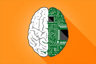 Kaiyun APP-体育新闻中心主办体育文化数字创新成果展示会，体育 数字化