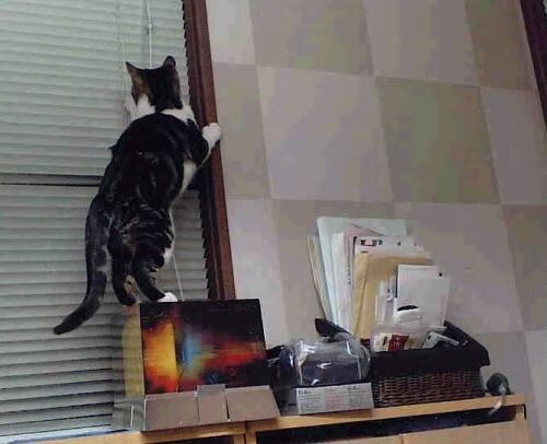内线脚步技术对得分效率的贡献，内线基本功