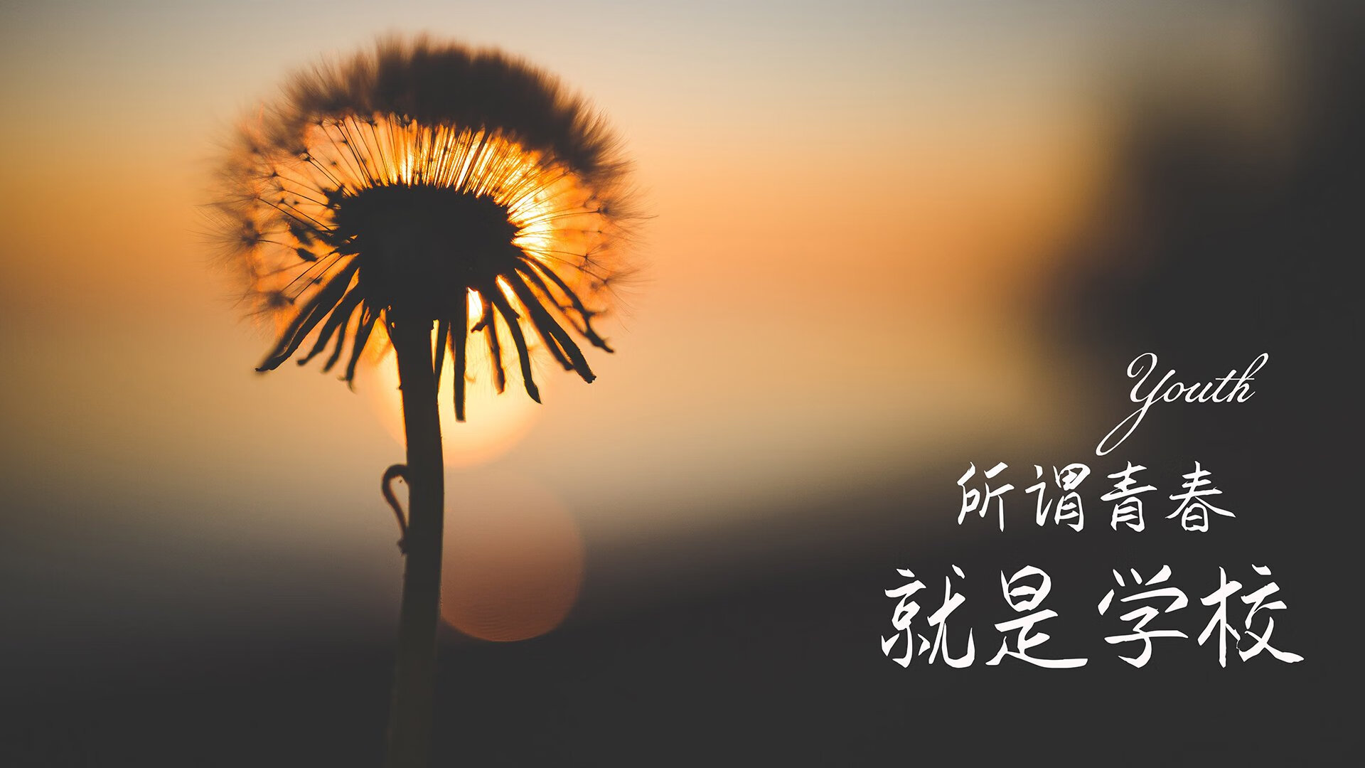 Kaiyun APP-博卡青年强化青训系统，重塑南美荣耀，博卡青年主场叫什么