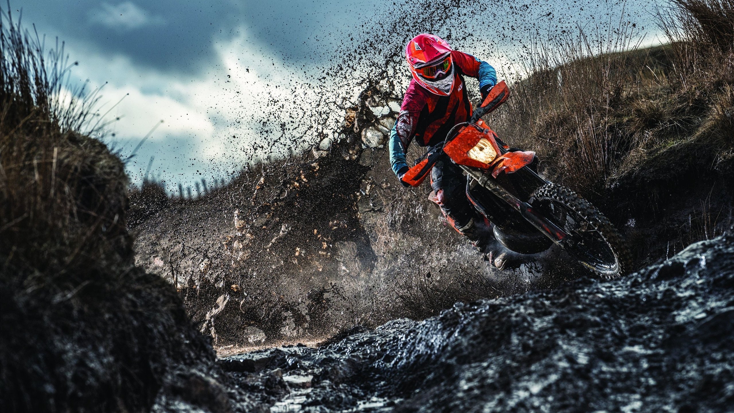 _极限运动飞跃挑战：勇敢者的冒险日记_，飞跃极限[体操]